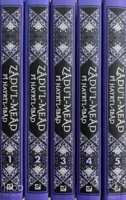 Zadul-Mead Fi Hayriı-İbad (5 Cilt Takım) - 1